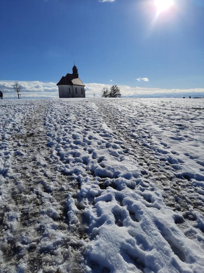 Ferienhaus Vogt FDH Esterno foto